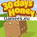 30 Days Honey SWF Game